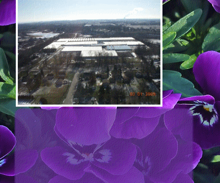 Post Gardens Greenhouse, postgardens.com