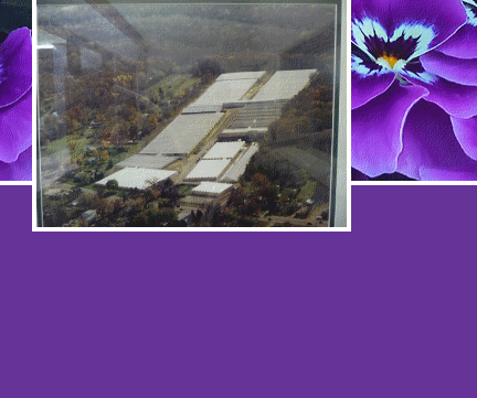 Post Gardens Greenhouse, postgardens.com